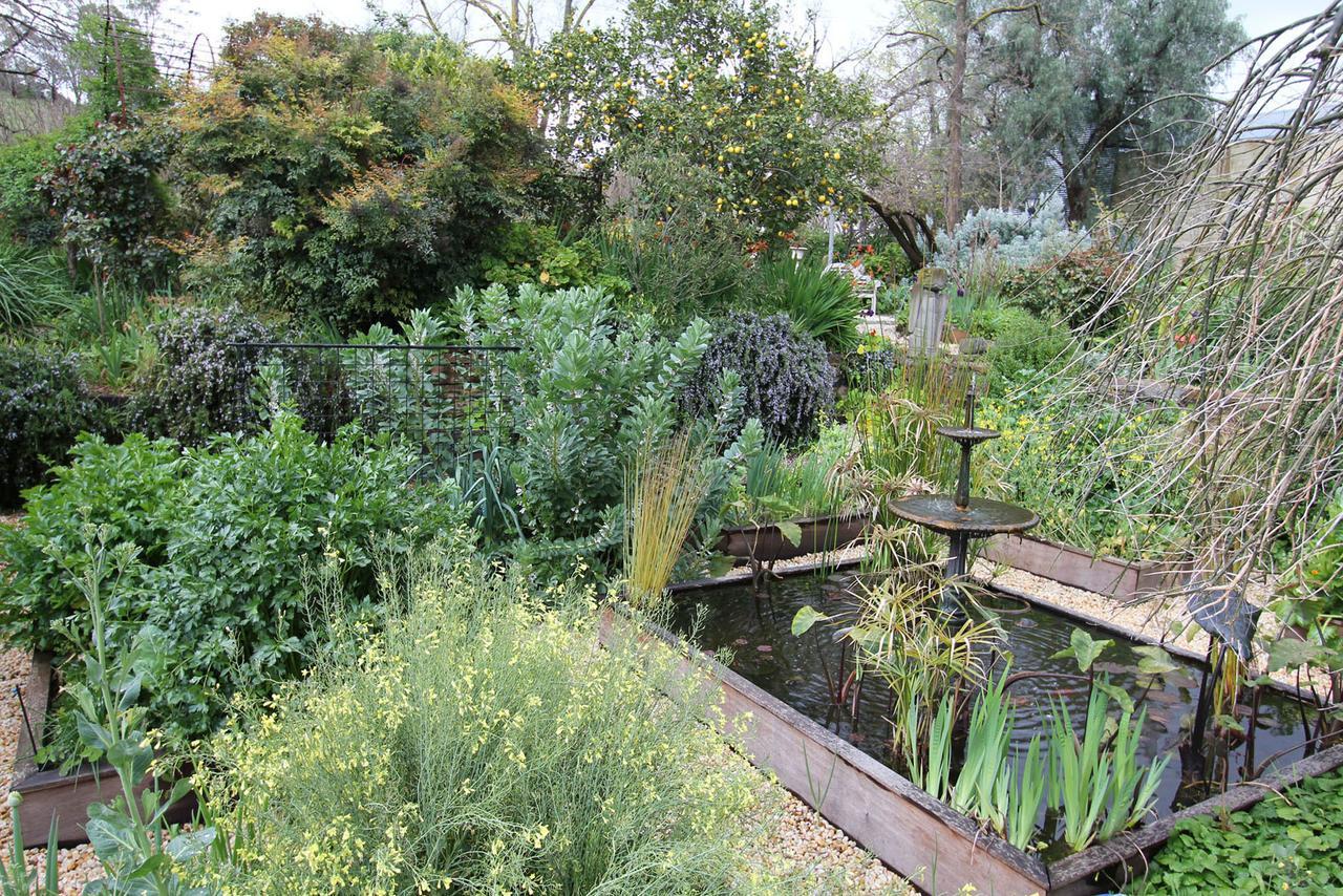 Bed and Breakfast Palm House Maldon Exterior foto